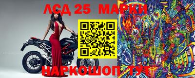 СК Кингисепп