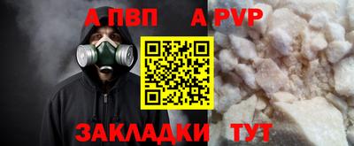 СК Кингисепп
