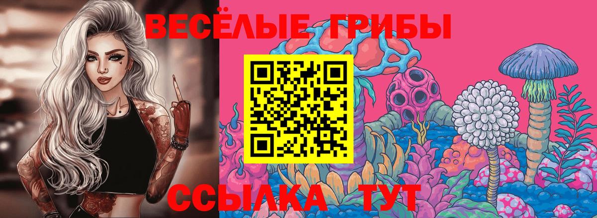 Котельники  наркошоп  Вход с VPN  Галлюциногенные грибы Magic Shrooms 