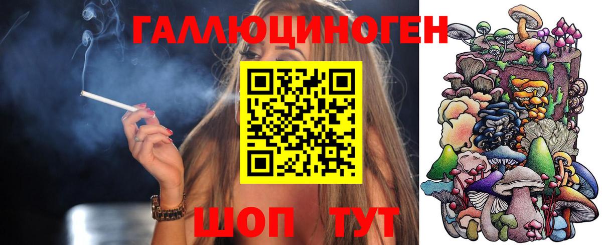 Псилоцибиновые грибы GOLDEN TEACHER Котельники